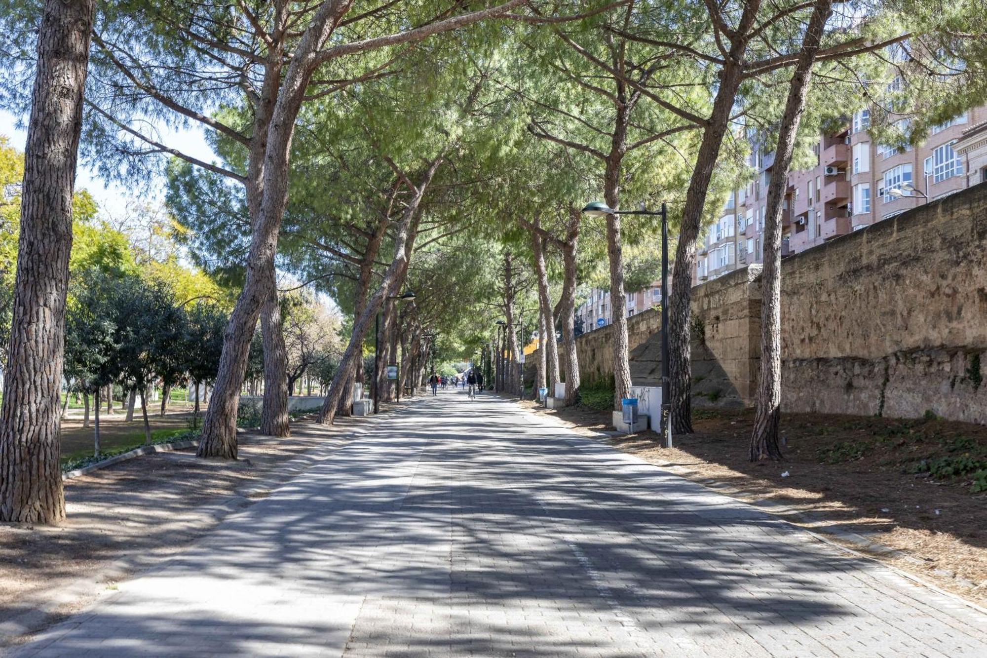 Apartup Turia River Park Valencia Bagian luar foto